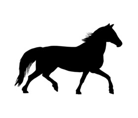 Fototapeta na wymiar Simple horse icon with silhouette white background illustration