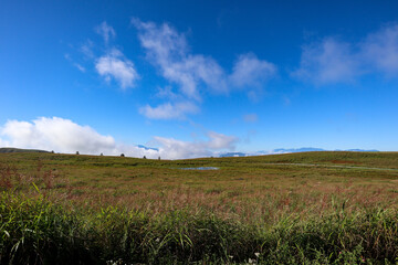 【日本】絶景ドライブのビーナスライン