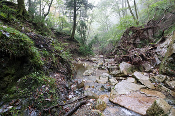 登山