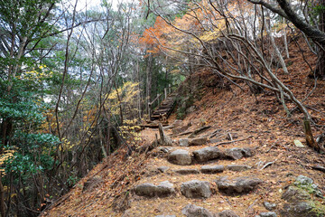 pat【日本】登山、鳳来寺山