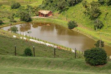 landscape with river