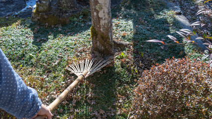 熊手で庭の枯れ葉を集める女性”bamboo rake