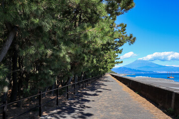 【日本】三保の松原、富士山