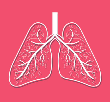 Lungs icon, flat style. Internal organs of the human design element, logo. Anatomy, medicine concept. Healthcare. Isolated on red background