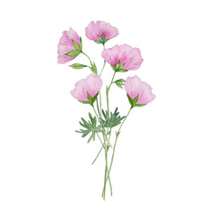 watercolor pink flower gentle bouqet