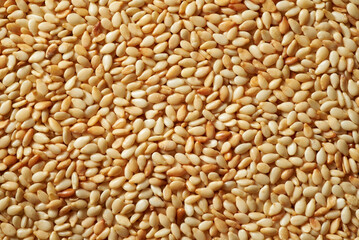 Roasted sesame seeds background/ Top view macro photo with shallow depth of field.