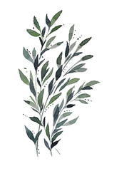 branch, background, watercolor, leaves,