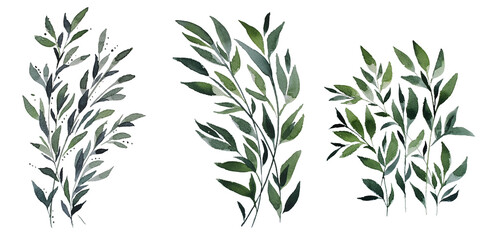 branch, background, watercolor, leaves,