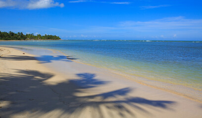 Palm trees on white tropical beach. Travel background.