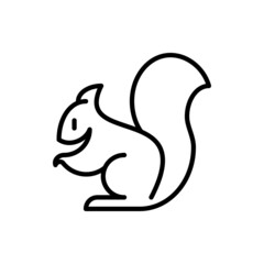 Squirrel thin line icon. Modern vector illustration.