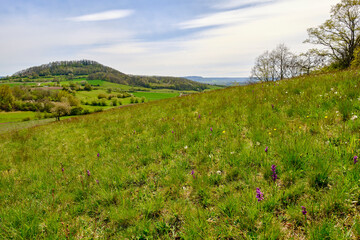 Fototapeta premium Landschaft im Naturschutzgebiet Hohe Wann bei Prappach, Stadtteil der Kreisstadt Haßfurt, Landkreis Hassberge, Unterfranken, Franken, Bayern, Deutschland