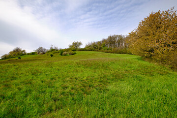 Obraz premium Landschaft im Naturschutzgebiet Hohe Wann bei Prappach, Stadtteil der Kreisstadt Haßfurt, Landkreis Hassberge, Unterfranken, Franken, Bayern, Deutschland