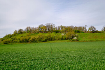 Fototapeta premium Landschaft im Naturschutzgebiet Hohe Wann bei Prappach, Stadtteil der Kreisstadt Haßfurt, Landkreis Hassberge, Unterfranken, Franken, Bayern, Deutschland