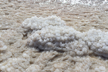 Fototapeta na wymiar Close up of salt background. Natural salt. Dead Sea salt mineral natural formations. Salt crystals from Dead sea. View of Dead Sea coastline. Texture of Dead sea. Salty seashore rocks