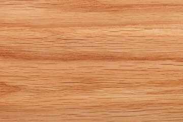 wood texture of different types of wood