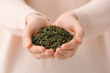 Woman holding heap of dried green tea leaves, closeup