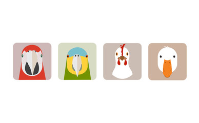 Set of portraits of animals (parroti, macaw, Chicken and Duck) the form of icons (vector illustration - symbols)	
