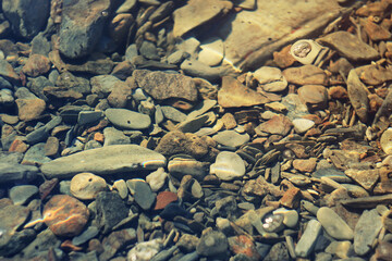 Stones underwater on the seashore closeup