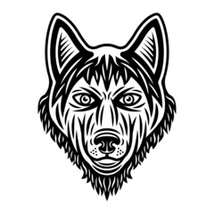 Husky dog head vector illustration in vintage monochrome style isolated on white background
