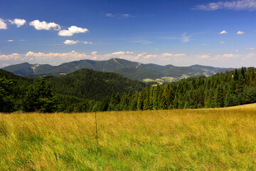 Lovely scenery in summer. Grassy meadow in mountains and blue sky width white clouds, Low Beskid (Beskid Niski), Poland - obrazy, fototapety, plakaty