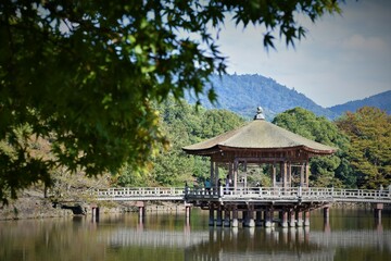 Fototapeta premium 奈良観光