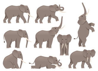 African elephant set. Different poses animal design. Vector illustration isolated on white background