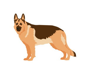 German Shepherd dog. Vector illustration isolated on white background.