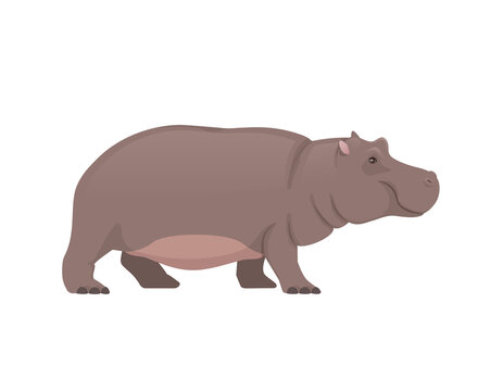 Hippo standing, side view. African animals. Vector illustration isolated on white background