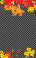 Yellow Plant Background Transparent Vector. Leaf Season Frame. Red Design Leaves. Nature Floral Texture.