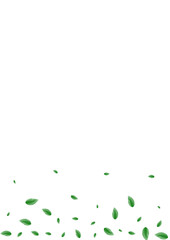 Light Green Foliage Background White Vector. Greenery Fresh Illustration. Icon Card. Green Structure Texture. Plant Wild.