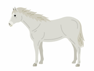 Obraz na płótnie Canvas 白馬のイラスト