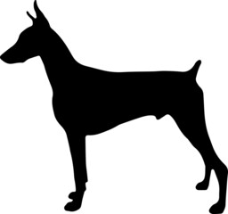 Doberman EPS, Doberman Silhouette, Doberman Vector, Doberman Cut File, Doberman Vector