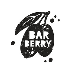 Barberry grunge sticker. Black texture silhouette with lettering inside. Imitation of stamp, print with scuffs. Hand drawn isolated illustration on white background