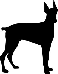 Doberman EPS, Doberman Silhouette, Doberman Vector, Doberman Cut File, Doberman Vector