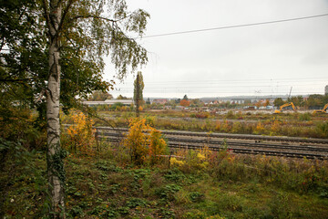 railroad facility with partially rotted railroad wagons