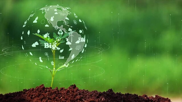The earth on a small tree with environment ecology sign hologram on natural background. - Powered by Adobe