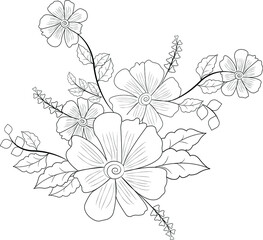 Chrysanthemums, freehand drawing black line on white background, 