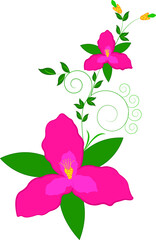 Seasonal flowers on white background. Nature concept.