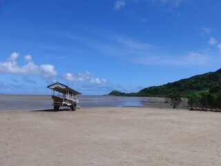 西表島　水牛車