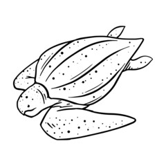 Leatherback sea turtle hand drawn vector illustration.