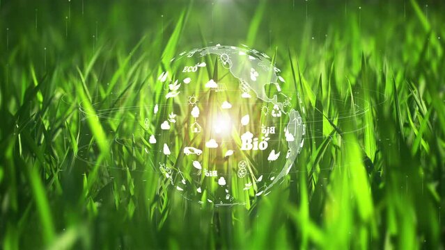 The earth on green grass background with environment ecology sign hologram on natural background.