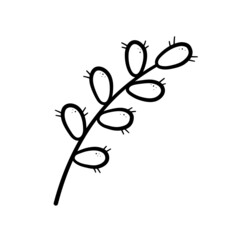 Spring twig easter pussy willow tree. Hand drawn icon in doodle line style. Isolated vector illustration.