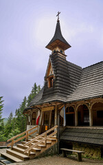wiktorówka, rusinowa polana, gęsia szyja, tatry, zakopane, karpaty , giewont, Polska, dolina kościeliska, morskie oko , dolina gąsienicowa. kasprowy wierch © Daniel Folek