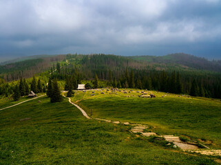 rusinowa polana, gęsia szyja, tatry, zakopane, karpaty , giewont, Polska, dolina kościeliska, morskie oko , dolina gąsienicowa. kasprowy wierch © Daniel Folek