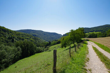 Les collines du Bugey, dans l'Ain