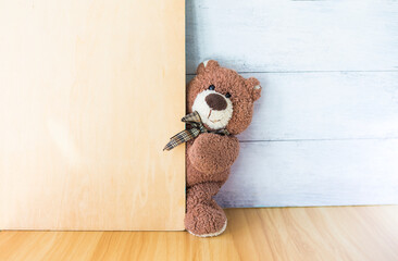 Teddy bear on wooden board with space on white wood background, giving information, blank board
