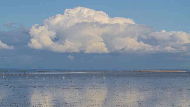 d&eacute;tail d'un nuage de type cumulonimbus refl&eacute;tant dans l'eau de la baie du mont Saint Michel en Bretagne