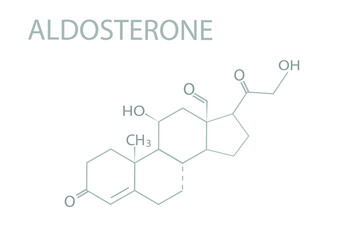 Aldosterone  molecular skeletal chemical formula.	
