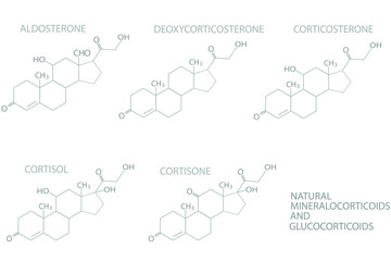 Natural mineralocorticoids and glucocorticoids molecular skeletal chemical formula.	
