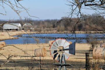 Farm Field with Geese on a Lake
